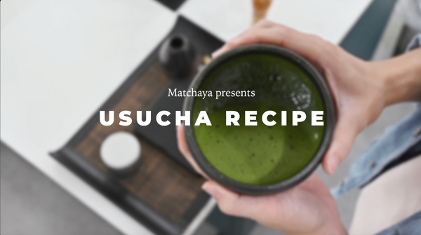 Usucha (Thin) Recipe | Ceremonial Grade Matcha