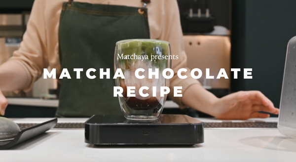 Matcha Chocolate | Uji Matcha 8 and Chocolate