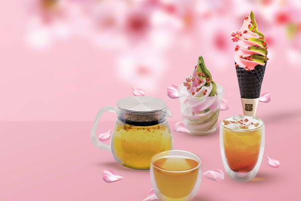 Nostalgia and Tranquility - Sakura Season 2025